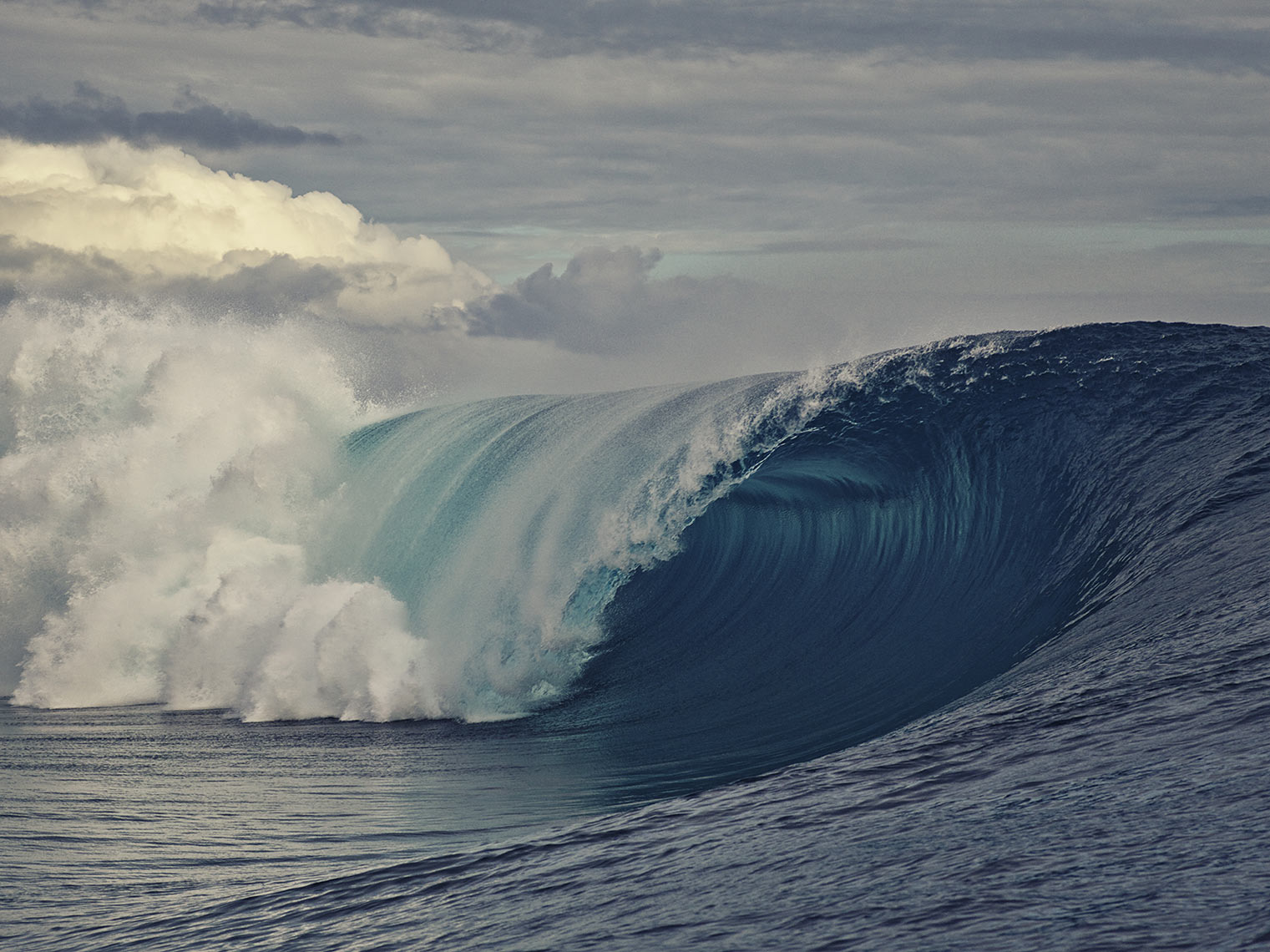 KurtIswarienko-KoloheAndino-Visa-04