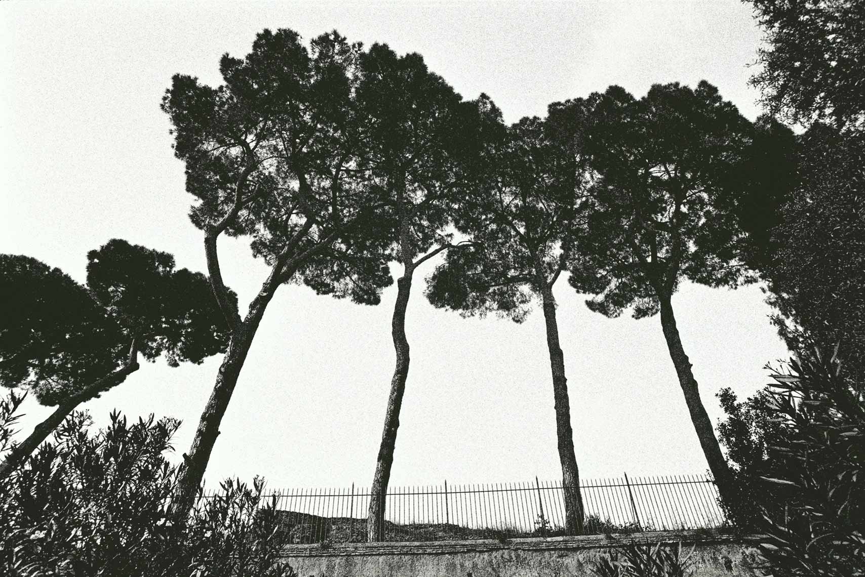 KurtIswarienko-WillemDafoe-1624535031ARTFw